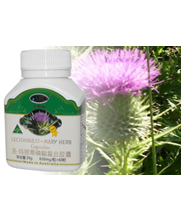 �İ���(����)ʥ����������֬�z��