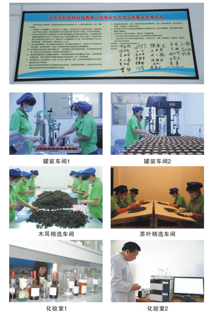 ���̲��(y��)