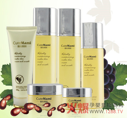 ���ċ����������o(h��)�w���b �Aע���ڼ��w��֧�����