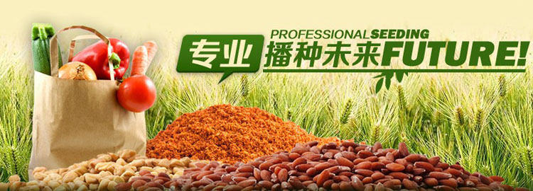 �Ϻ������(sh��)�I(y��)���޹�˾������