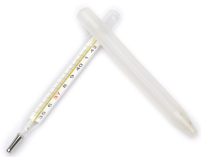 巴巴貝爾帶硅膠玻璃體溫計
