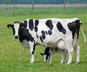 �°������̷۳���(d��o)��Դ׷���wϵ