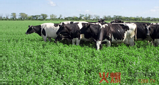 �ƿ���Դ����(ch��ng)