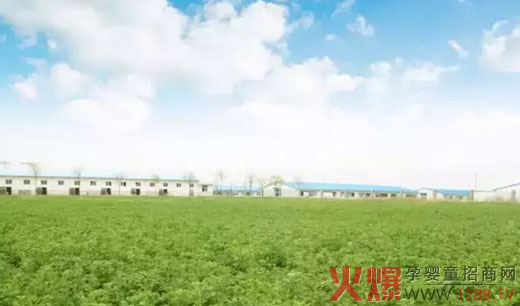 ������ЙC���������ع� �����]����