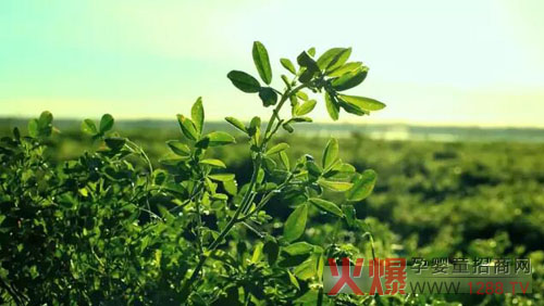 �xɽţ�̟���ӛ��������(ch��ng)������ �����֎ײ���