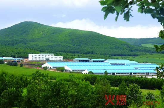 �l(f��)չ��(sh��)�w��(j��ng)��(j��)�����_(d��)ɽ���Єӣ�