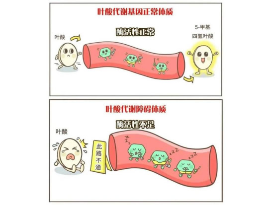 202312261719959087.jpg 202312261719959087.jpg