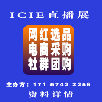 2024��ICIE�Ї�(gu��)��(gu��)�H�W(w��ng)�tֱ����̽��ײ��[��(hu��)