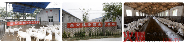 ���̷ۮa(ch��n)�I(y��)��Ȼ���� ������������A�I(l��ng)�Ј�(ch��ng)