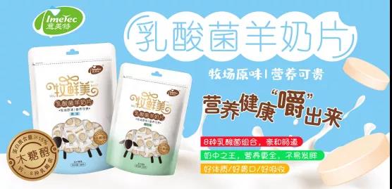 ����������Ƭ��������ʲôħ����������