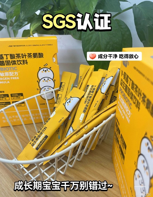 元力伴γ-氨基丁酸茶葉茶氨酸益生菌固體飲料