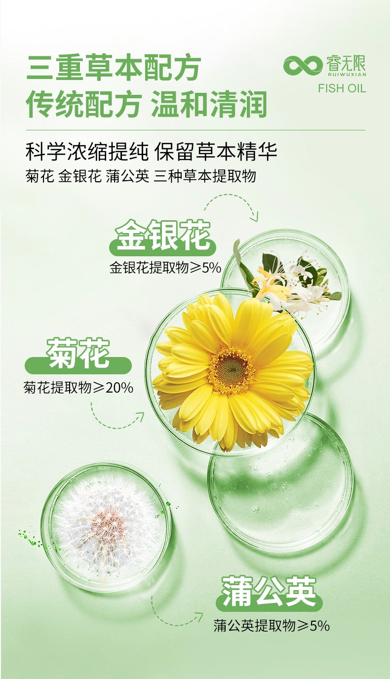 睿無(wú)限清潤(rùn)葆菊花金銀花固體飲料12g詳情 (2).jpg