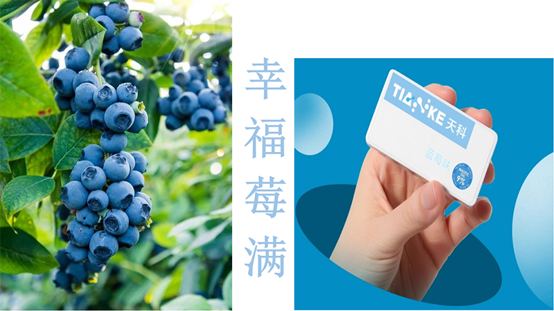 ��Ɵo����ڱ��� �{(l��n)ݮζ.png