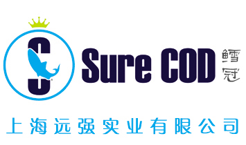 �Ϻ��h(yu��n)�����I(y��)���޹�˾