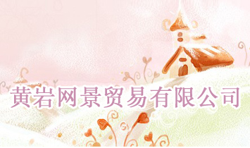 �S�r�W���Q�����޹�˾