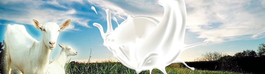 ������̿��̷۠I(y��ng)�N����