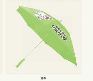 ����˽��؈���