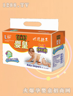 ����N�폗��ϵ��