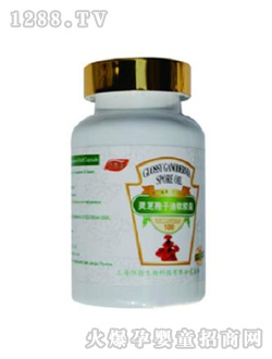 ���念�`֥������ܛ�z��