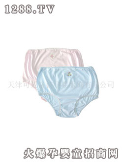 �ɐ�(��i)��� L2101�ЋD��(n��i)ѝ�p��