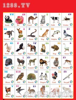 �����؄�(d��ng)��--�l(f��)����D