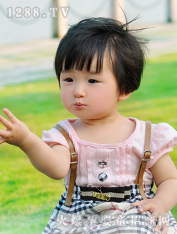 �������⾰��ͯ���挣ע