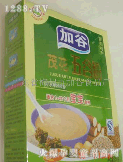 �ӹ�ï����ȷ��_ˮ���_��ʳ����