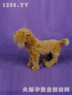 ���ҷ�������Lë�S����