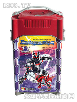 ���R�C���˷eľC9565