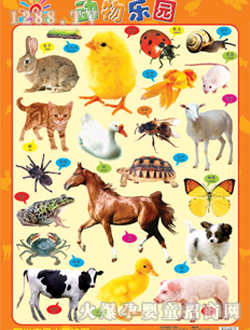 ꖹ⌚ؐ����@��D