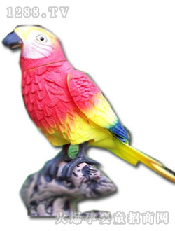 ���������W�^Ƥ�������