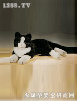 ����(m��ng)С؈ë�q���