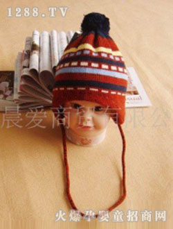 �ɐ�(��i)�����o(h��)��ñKWZ209-011