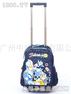 �������˕���