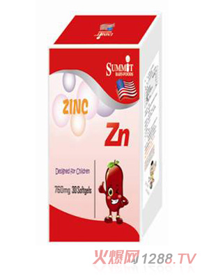 Summit�\���\