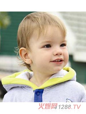 �����붬��������