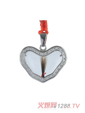 ���������Ή�