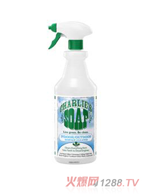 Charlies�����҃�(n��i)���坍��������;�坍����