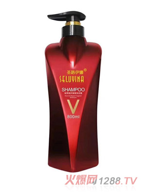 ʥ·�������B(y��ng)���o(h��)����ϴ�l(f��)¶