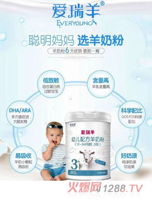 愛瑞羊youe配方羊奶粉（12-36月齡，3段）