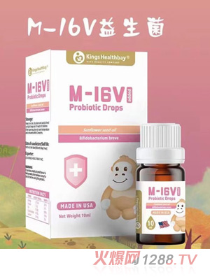 ��˹��ؐM-16V������