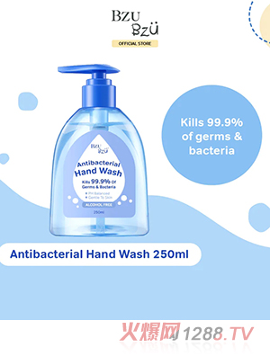 BZU BZU ����ϴ��Һ300ml