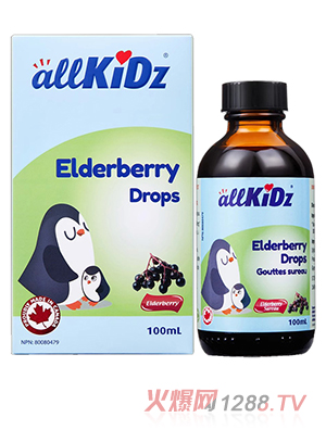 愛(ài)奇氏接骨木莓小黑果液滴劑