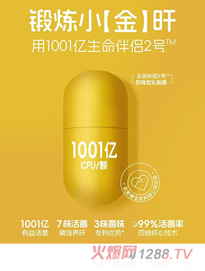 貝因美生命伴侶2號即食型乳酸菌