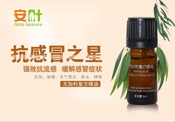  ���~�ȼ����ͷ�����