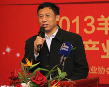 �����½����v���҇�(gu��)ɽ�����_(k��i)�l(f��)�F(xi��n)���cڅ��(sh��)